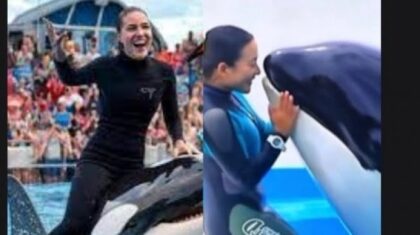 Jessica Radcliffe: Hoaks Viral Pelatih Lumba-lumba Dimakan Paus Orca