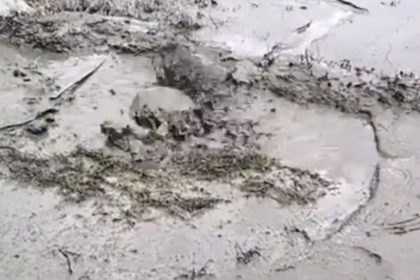 Heboh! 5 Meter Semburan Lumpur di Samosir Gegerkan Warga, Kadis LHK: Akibat Pengeboran Sumur