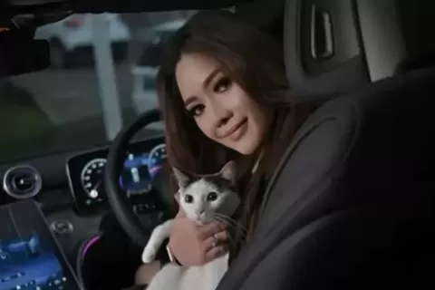 Viral Kekerasan Kucing, Lirabica Lapor Polisi